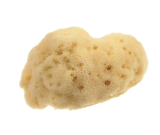 Beautytime, Natural Sea Sponge Small - 1 Pc