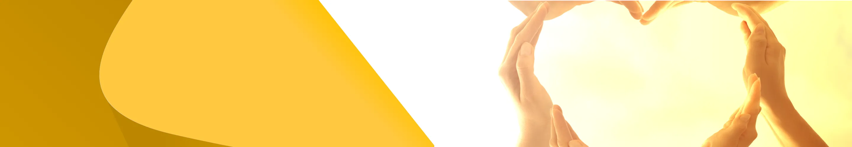 Banner Banner