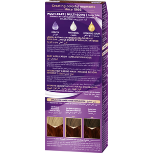 Palette, Intensive Hair Color Creme 6-80 Marsala Brown - 1 Kit - 2 Palette, Intensive Hair Color Creme 6-80 Marsala Brown - 1 Kit - 2