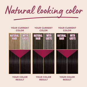 Palette, Intensive Hair Color Creme 6-80 Marsala Brown - 1 Kit - 4 Palette, Intensive Hair Color Creme 6-80 Marsala Brown - 1 Kit - 4