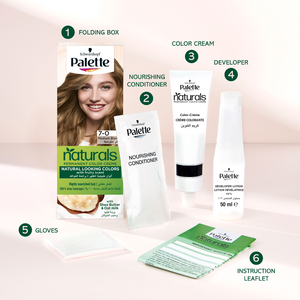 Palette, Permanent Hair Color 5-0 Light Brown - 1 Kit - 6 Palette, Permanent Hair Color 5-0 Light Brown - 1 Kit - 6