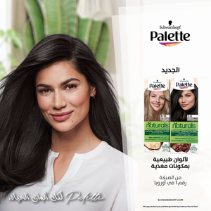 Palette, Permanent Hair Color 5-0 Light Brown - 1 Kit - 8 Palette, Permanent Hair Color 5-0 Light Brown - 1 Kit - 8