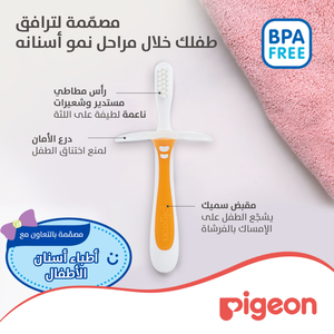 Pigeon, Baby Training Toothbrush Lesson 2 8-12 Months - 1 PC - 3 Pigeon, Baby Training Toothbrush Lesson 2 8-12 Months - 1 PC - 3