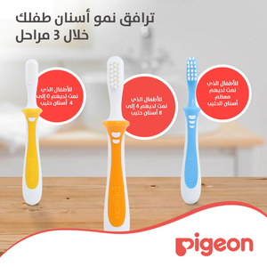Pigeon, Baby Training Toothbrush Lesson 2 8-12 Months - 1 PC - 5 Pigeon, Baby Training Toothbrush Lesson 2 8-12 Months - 1 PC - 5