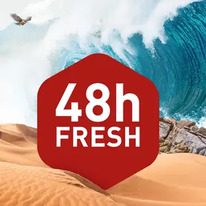 أولد سبايس، مزيل عرق، ستك وايت واتر انتعاش طوال اليوم - 50 مل - 2 أولد سبايس، مزيل عرق، ستك وايت واتر انتعاش طوال اليوم - 50 مل - 2