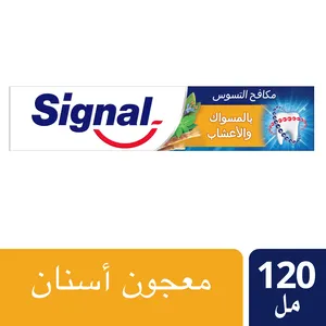 سيجنال معجون أسنان المسواك والأعشاب - 120 مل - 1 سيجنال معجون أسنان المسواك والأعشاب - 120 مل - 1